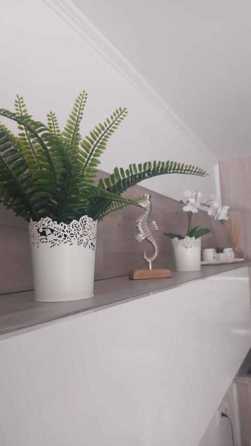Apartamento Margarita Con Piscina En Playa Honda, Playa Las Americas アロナ エクステリア 写真