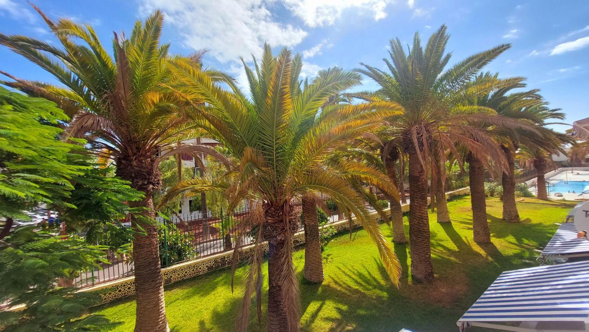 Apartamento Margarita Con Piscina En Playa Honda, Playa Las Americas アロナ エクステリア 写真